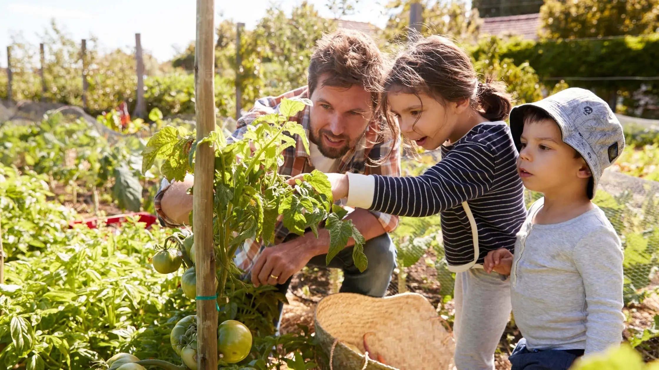 5_practical_ways_to_introduce_sustainable_living_to_children