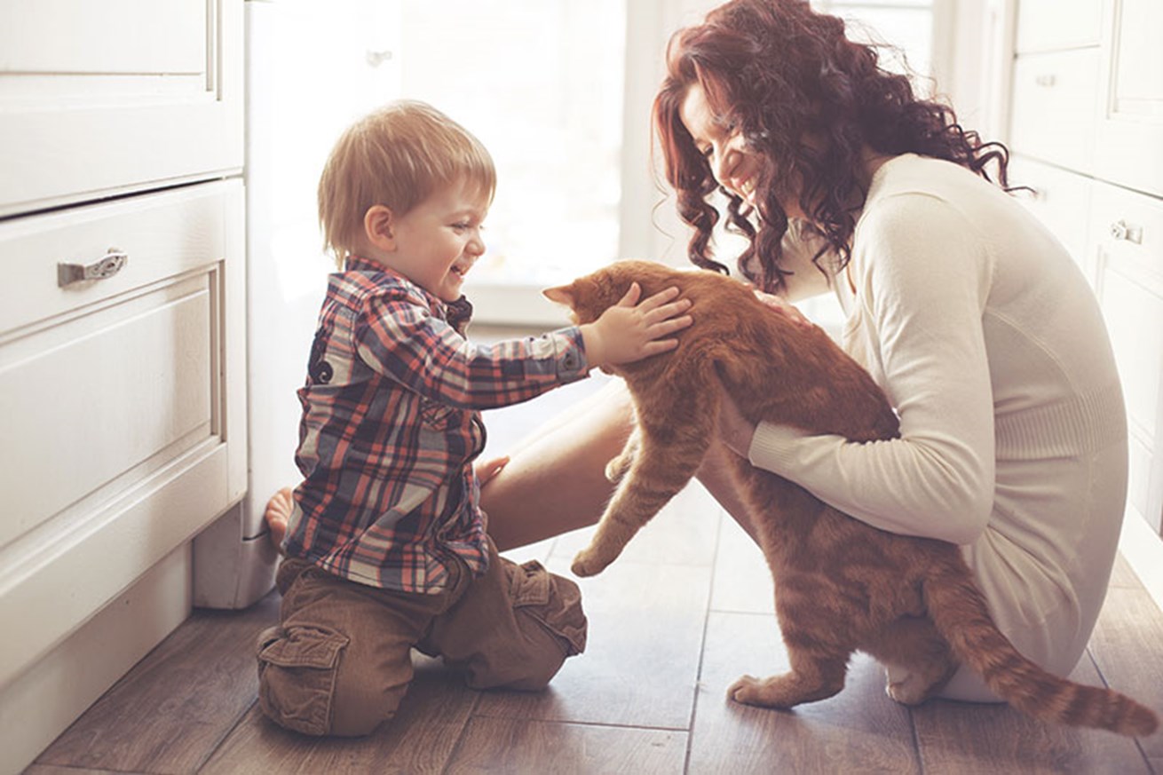 Cat friendly apartments near me