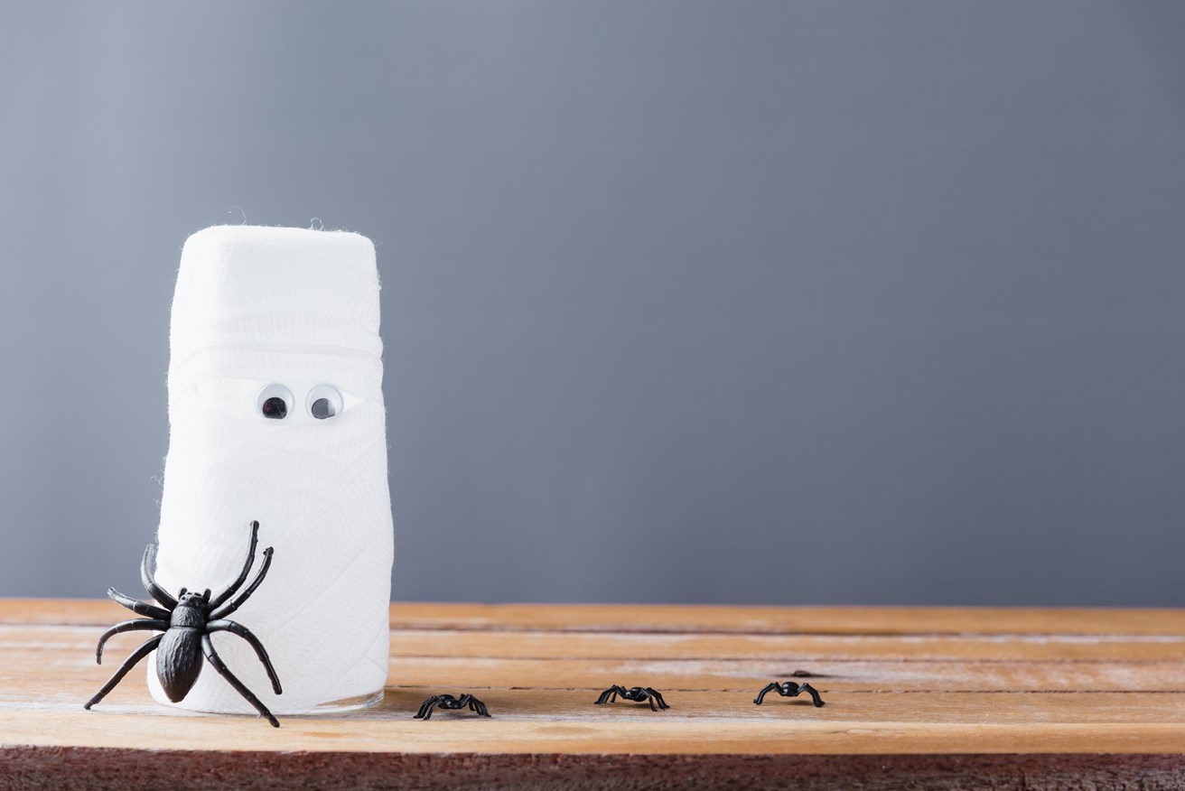 Mummy DIY craft and plastic spiders