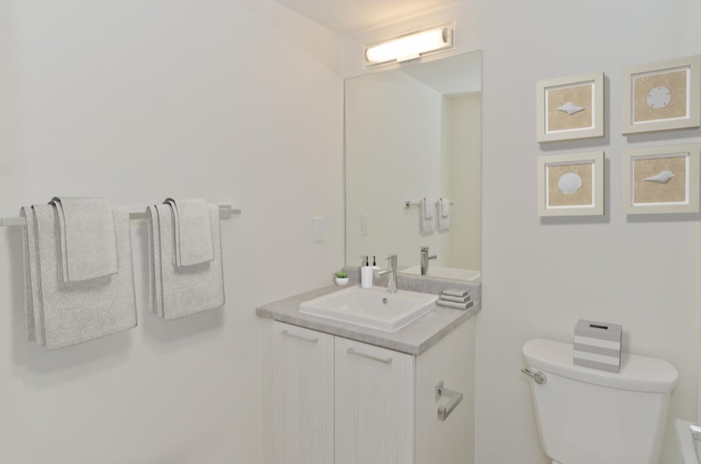 1 Bedroom Premium at Northwest Pointe