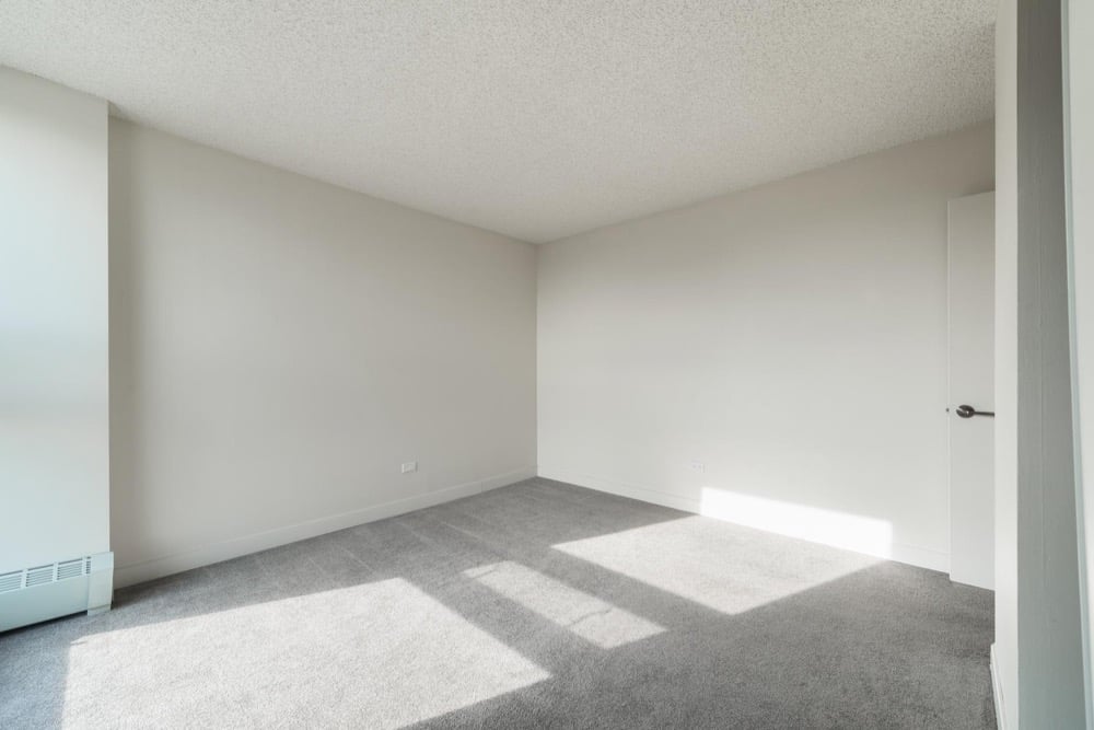 Studio at The Palisades