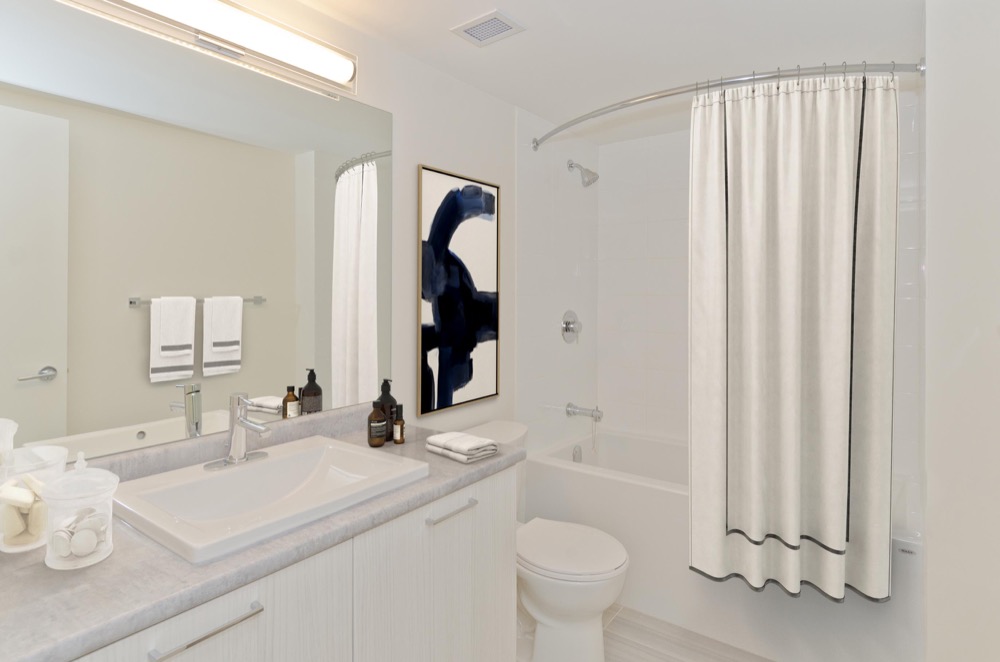 1 Bedroom Premium at Varsity Square Apartments